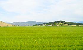 Griekenland reizen