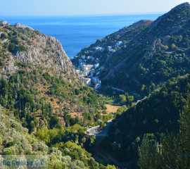 Ikaria