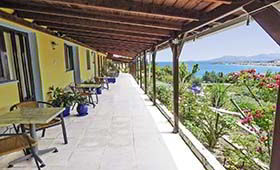 Lemonakia