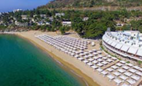 Bomo Tosca Beach (incl. auto)