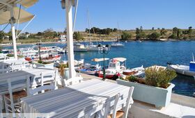 Eilandhoppen Aegina  Hydra  Athene - Foto 10