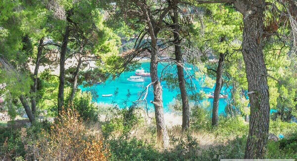 Eilandhoppen Alonissos Skopelos