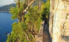 Eilandhoppen Alonissos Skopelos