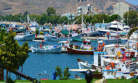 Eilandhoppen Andros & Zuid-Evia - Foto 12
