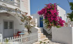 Eilandhoppen Naxos Paros Sifnos - Foto 9