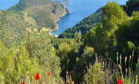 Eilandhoppen Poros - Spetses