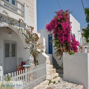 Eilandhoppen Syros Paros Naxos Ios Santorini (22 dagen)