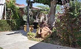 Ikies Lesbos (incl. auto) - Foto 5