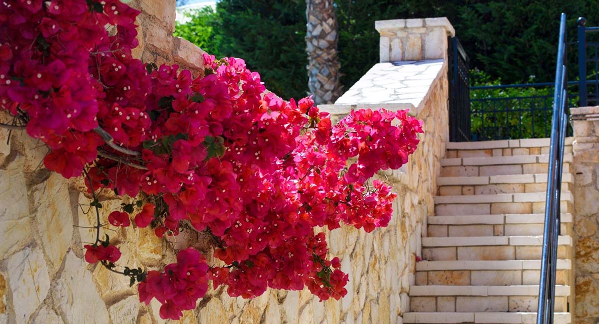 Il Tesori Dassia Villas Corfu