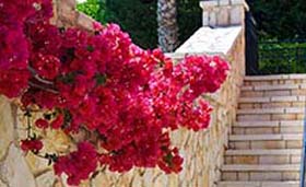 Il Tesori Dassia Villas - Foto 3