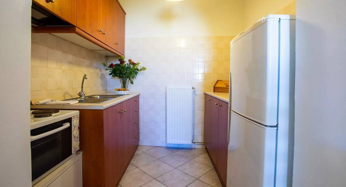 Kastro apartments Panormos