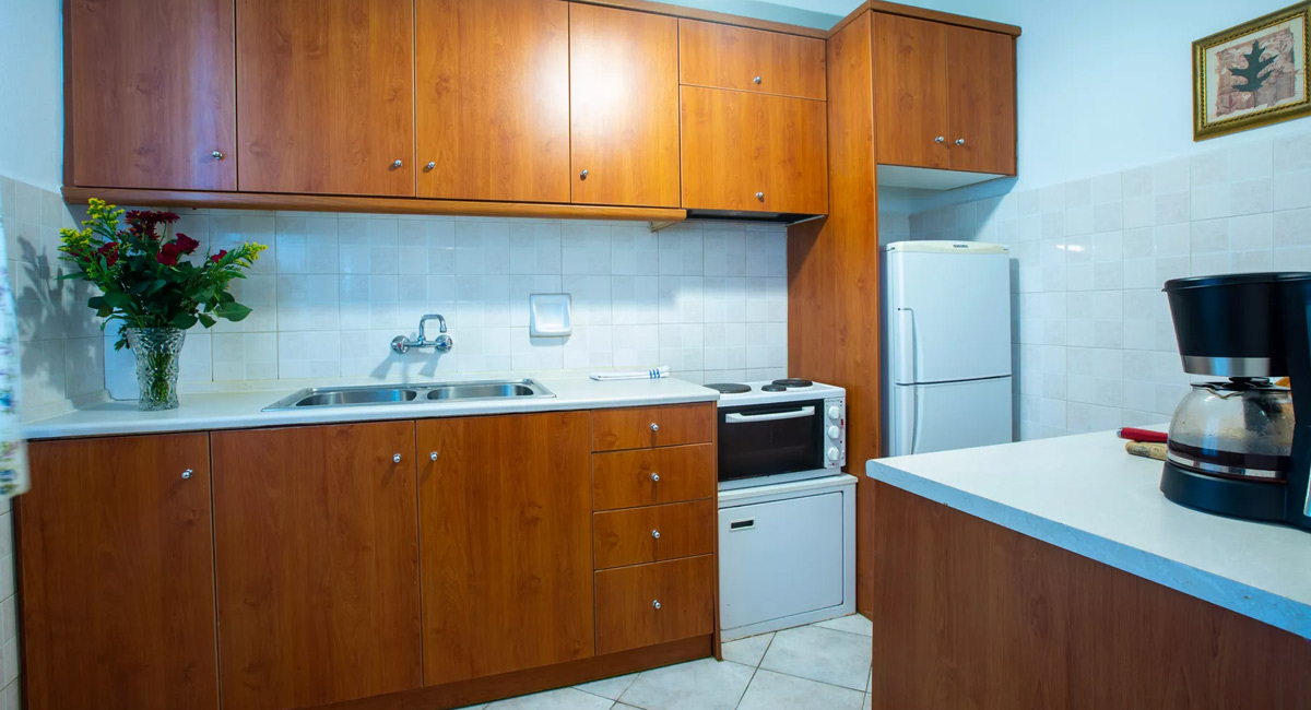 Kastro apartments Panormos