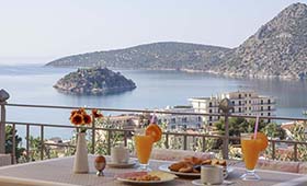 Panorama Hotel (incl. auto)