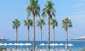 Potidea Palace Hotel - Foto 5