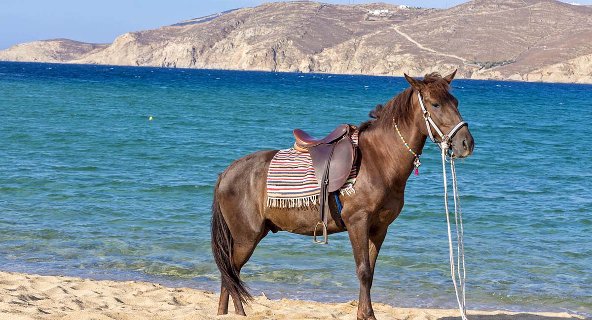 Terra Maltese Natural Retreat Mykonos