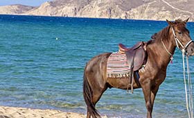 Terra Maltese Natural Retreat Mykonos - Foto 5