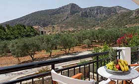 Venetia appartementen (incl. auto)