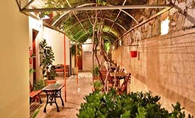 Ventoura Studios & Apartments - Foto 6