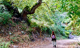 Wandelen op Lesbos