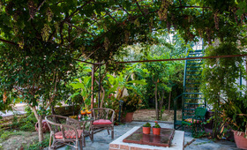 Zante Nest Studios