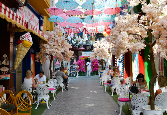 Athene foto 3